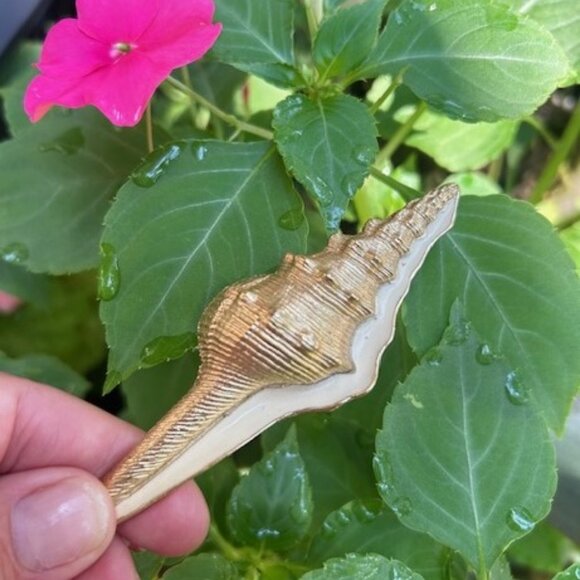 🏖️TRIFARI Shell Large Conch Cream Enamel Gold Tone BROOCH